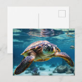 Zwemmen Zee Schildpad in de Oceaan Briefkaart (Voorkant / Achterkant)