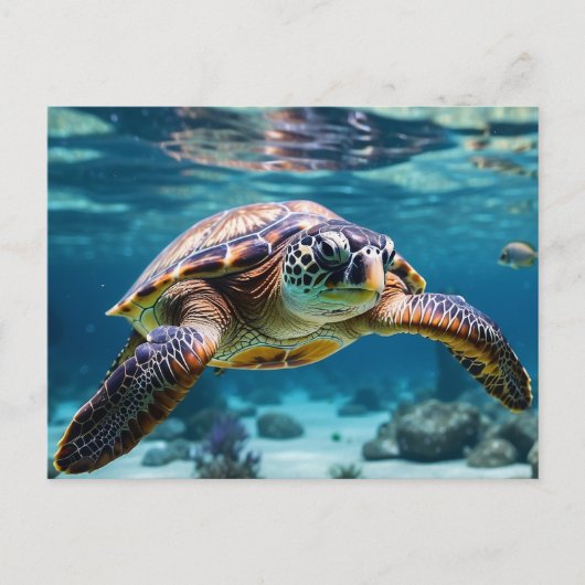 Zwemmen Zee Schildpad in de Oceaan Briefkaart (Voorkant)