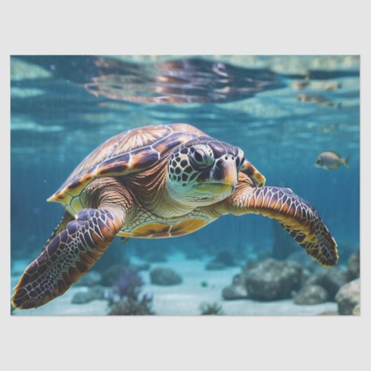 Zwemmen Zee Schildpad in de Oceaan Tissuepapier (Voorkant)