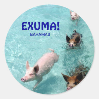 Zwemmen zout water varkens sticker