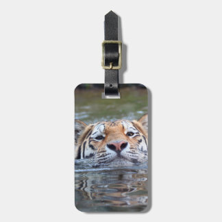 ZwemmenTiger20150901 Bagagelabel