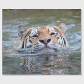 ZwemmenTiger20150901 Cadeaupapier (Vlak)