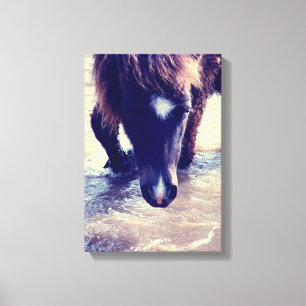 Zwempaarden Canvas Afdruk