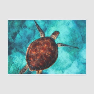 Zwemschildpad in blauw zeewater tissuepapier