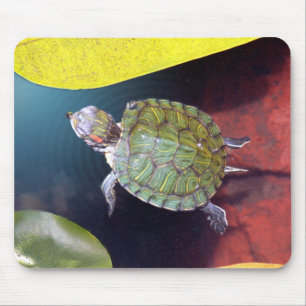 Zwemschildpad Mousepad Muismat