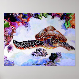 zwemschildpad poster