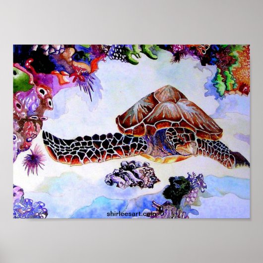 zwemschildpad poster (Voorkant)