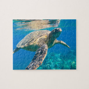 Zwemschildpad Zee Legpuzzel