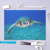 Zwemschildpad Zee Tissuepapier (Craft)