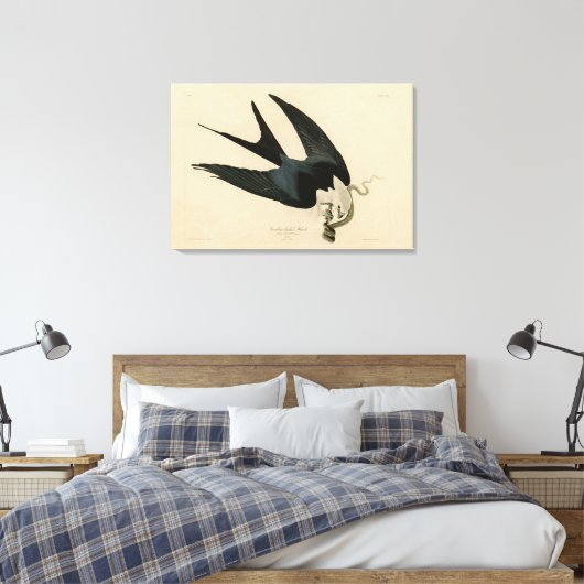 ZwemstaartHawk - Amerikaanse vogels van Audubon Canvas Afdruk (Insitu (Slaapkamer))