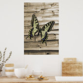 Zwemstaartvlinder Poster (Keuken)