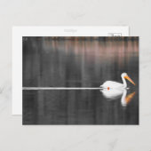 zwemster briefkaart (Voorkant / Achterkant)