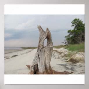 zwemstrand afdrukken poster
