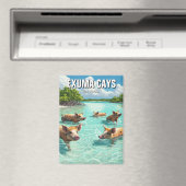 Zwemvarkens Exuma Cays Bahama's Reizen Magneet (Insitu (Vaatwasser))