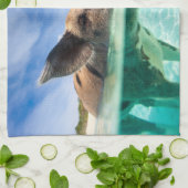 Zwemvarkens van Exuma Theedoek (Gevouwen)