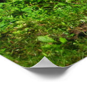 zwemwateren poster (Hoek)