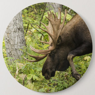 Zwerfende Eland Ronde Button 6,0 Cm