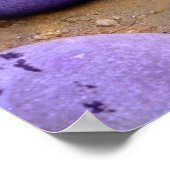 zwerfkat in kanonballetjes poster (Hoek)