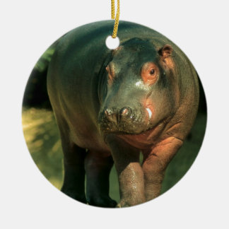 Zwergflusspferd (Choeropsis liberiensis) Keramisch Ornament