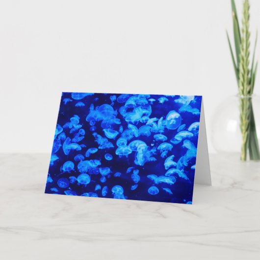 zwerm van kwallen kaart (Voorkant)