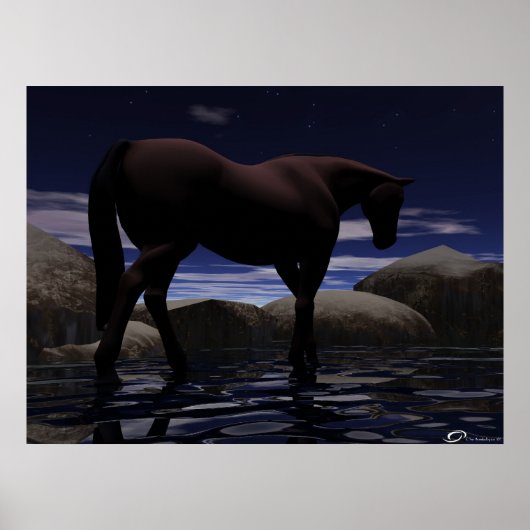 zwerven poster (Voorkant)