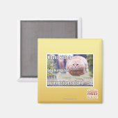 Zweven kitter magneet (Voorkant / Achterkant)