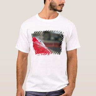 ZWITSERLAND, GENEVA: 75e jaarlijkse autosalon van T-shirt