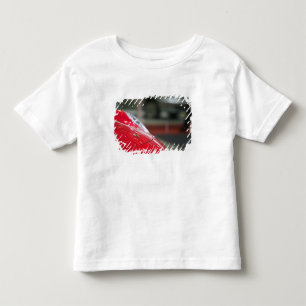 ZWITSERLAND, GENEVE: 75e jaarlijkse autosalon van Kinder Shirts