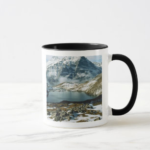 Zwitserland, Grindelwald, Berner Alpen, Uitzicht Mok