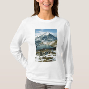 Zwitserland, Grindelwald, Berner Alpen, Uitzicht T-shirt