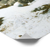 Zwitserland, Grindelwald, Bernese Alps, Uitzicht Poster (Hoek)