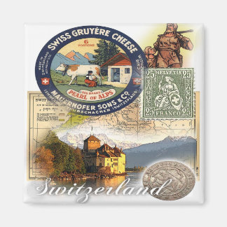 zwitserland magneet