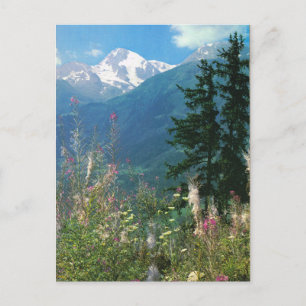 Zwitserland, regio Jungfrau in lente Briefkaart