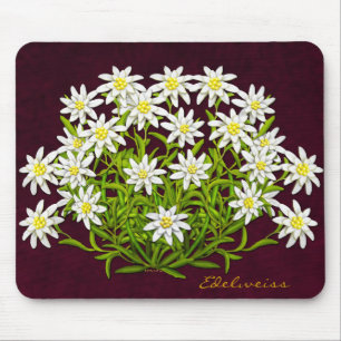 Zwitsers gebergte Edelweiss Flowers Mousepad Muismat