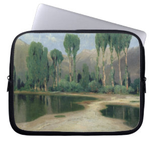 Zwitsers landschap laptop sleeve