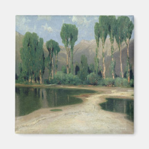 Zwitsers landschap magneet