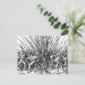 Zwitsers Pikemen Briefkaart (Staand voorkant)