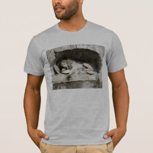 Zwitserse Afbeeldingen - Het Lionmonument Luzern T-shirt