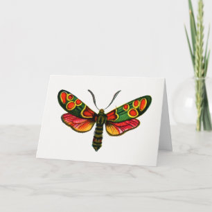Zygaena carniolica - de Crepuscular Burnet Moth Kaart