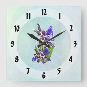 Zygo Advance Australia HOF Vierkante Klok