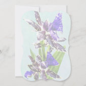 Zygo Advance Australia HOF Wedding Products Kaart (Achterkant)