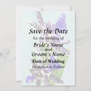 Zygo Advance Australie HOF Save the Date