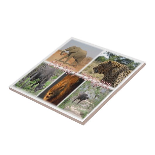 ZZA027 ZUID-AFRIKA, DE GROTE 5 IN KRUGER NP TEGELTJE (Zijkant)