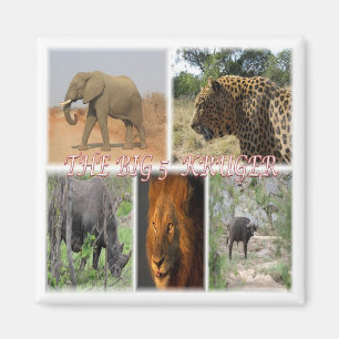 zZA035 ZUID-AFRIKA Big 5 in Kruger N.P. Fridge Magneet